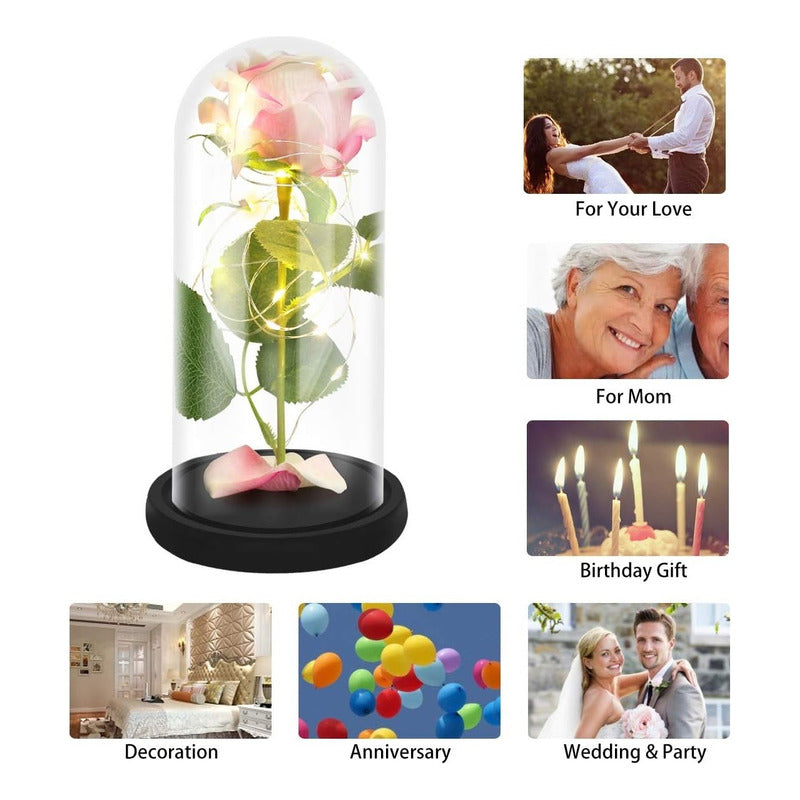 Cúpula Vidrio Rosa Led Flores Artificiales Rosa Eterna Led