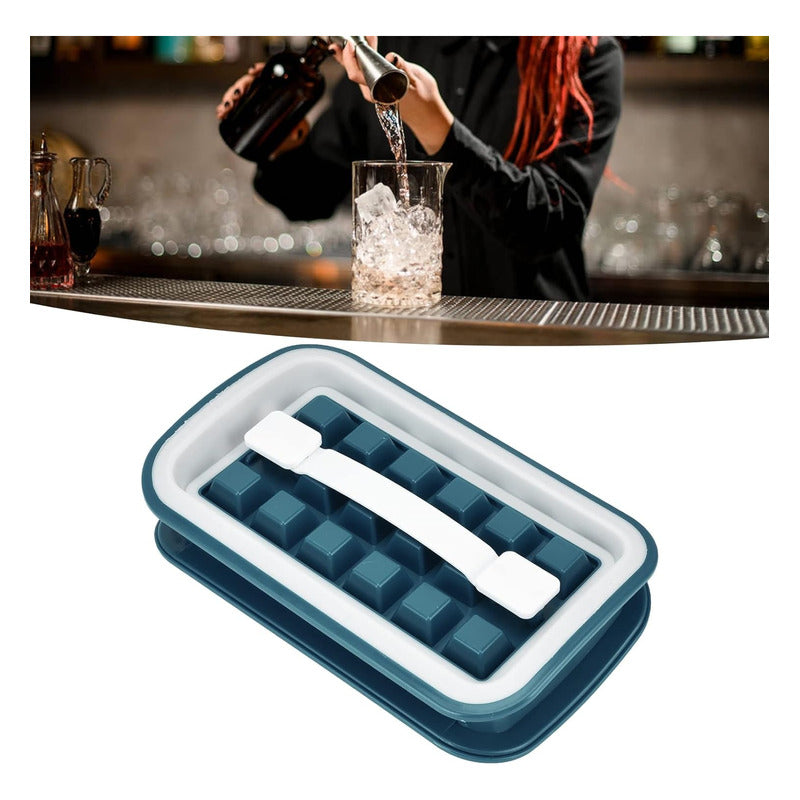 Molde Para Hielo Hielera Botella Fabrica Cubo Cubetera Hielo