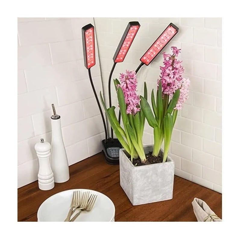 Lampara Indor Lampara Indoor Carpa Cultivo Crecer Plantas