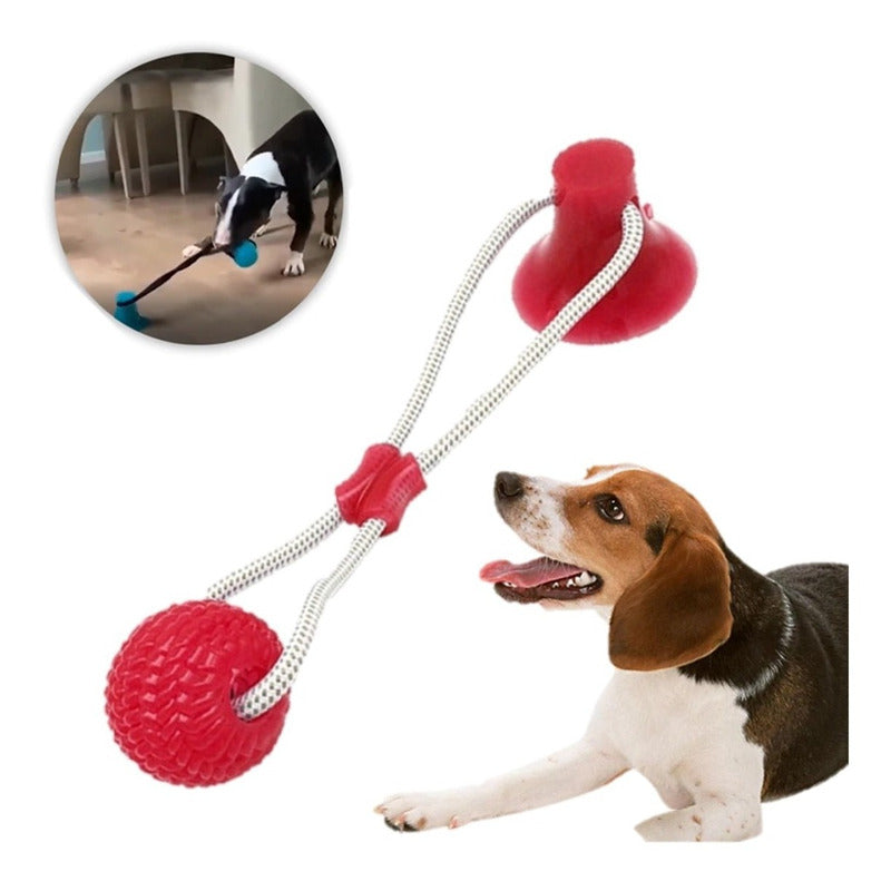 Pelota Perro Con Ventosa Juguete Para Perro Goma Resistente