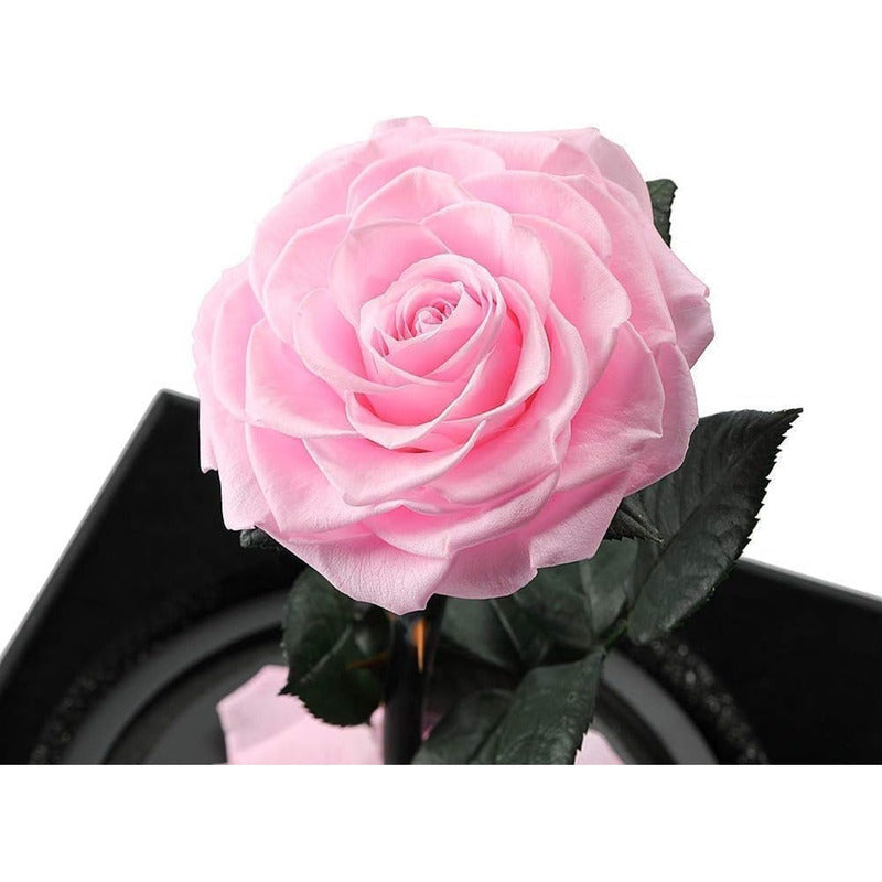 Cúpula Vidrio Rosa Led Flores Artificiales Rosa Eterna Led