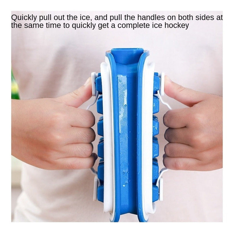 Molde Para Hielo Hielera Botella Fabrica Cubo Cubetera Hielo