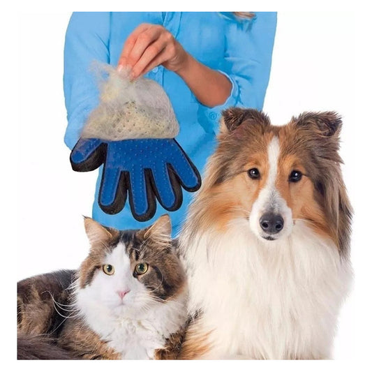 Guantes Removedores De Pelo Suelto Para Perros Y Gatos De Color Azul Verdadero