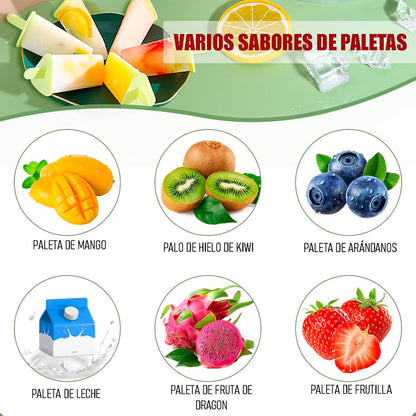 Molde Helado Molde Desmontable Helados Molde Paletas Helados