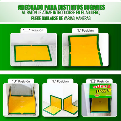 Trampa Para Ratas Pegamento Para Ratones Trampa De Insectos