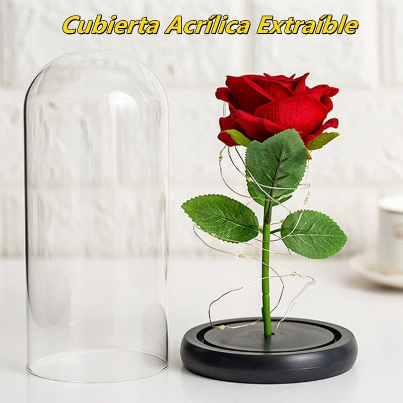 Cúpula Vidrio Rosa Led Flores Artificiales Rosa Eterna Led
