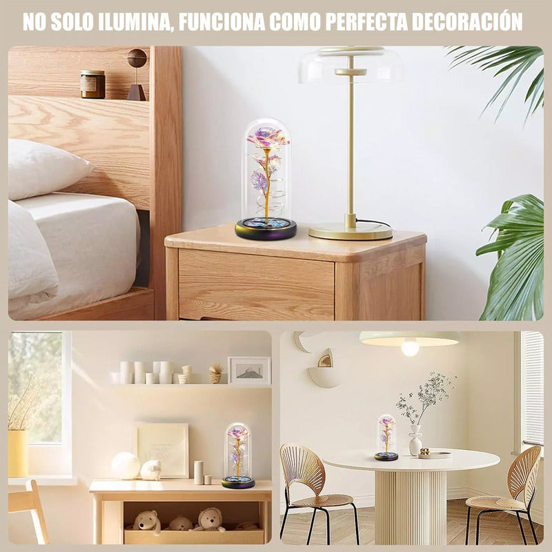 Pack X2 Rosas Eternas Encapsulada Rosa San Valentin Led Cupu