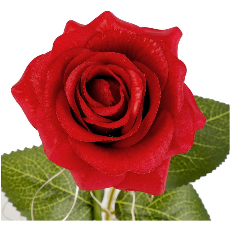 Cúpula Vidrio Rosa Led Flores Artificiales Rosa Eterna Led