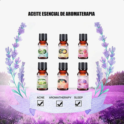 Pack 12 Esencias Para Humidificadores Aceites Aromaticos Hum
