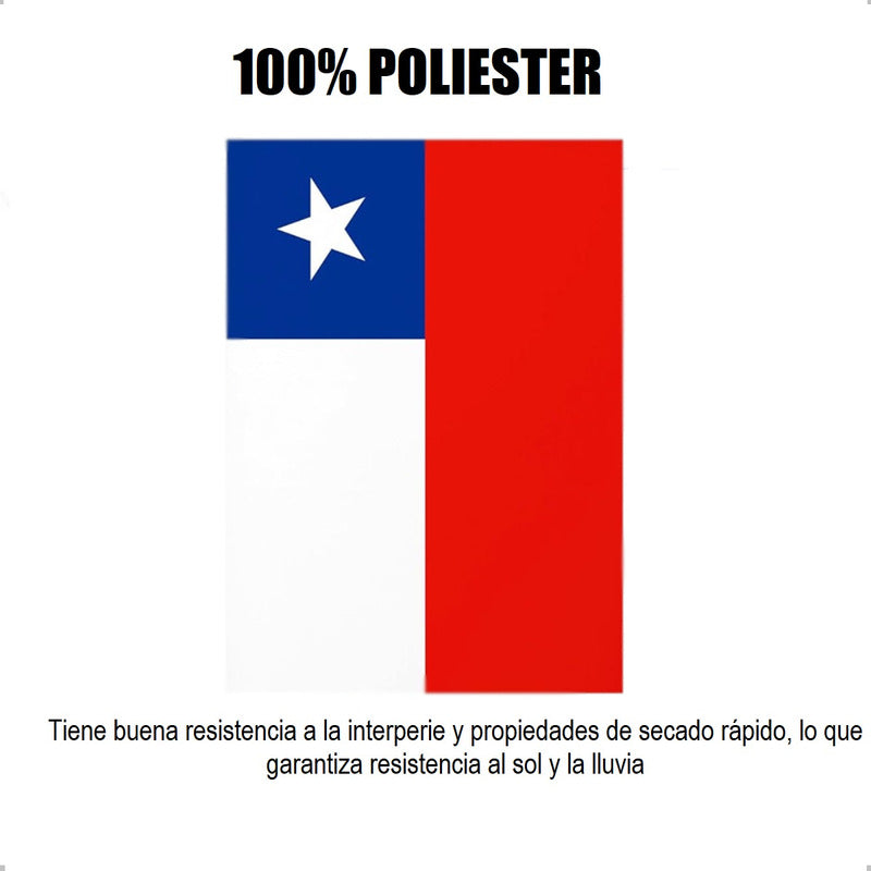 Pack X2 Guirnaldas Fiestas Patrias Banderines Decorativo 3m