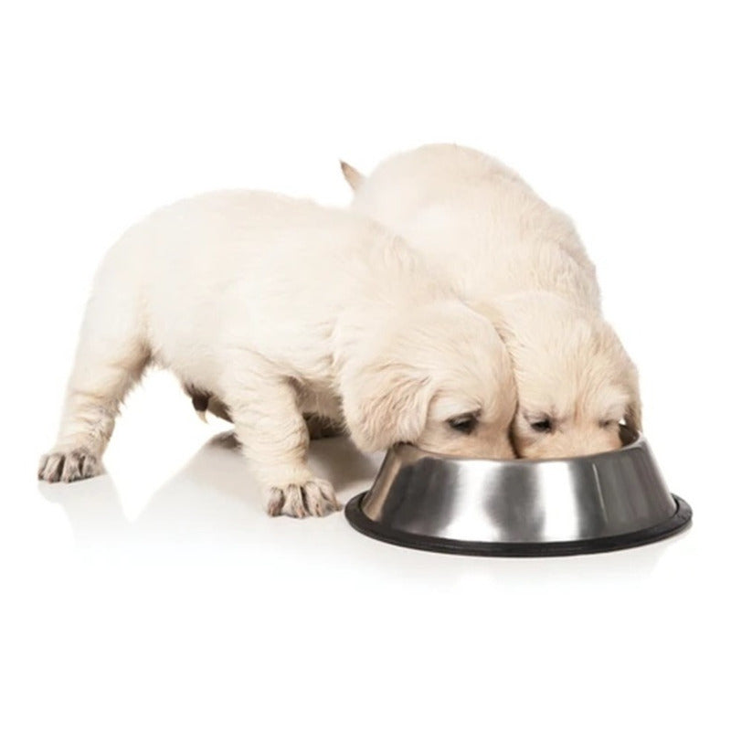 Pack X2 Plato Mascota Perros Gatos Platos Para Mascotas Acer