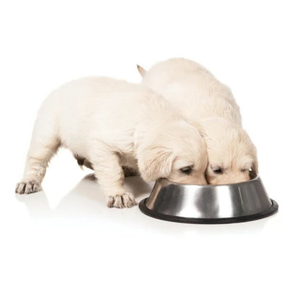 Pack X2 Plato Mascota Perros Gatos Platos Para Mascotas Acer