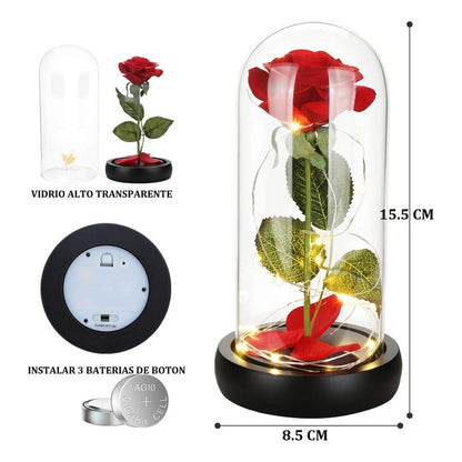 Cúpula Vidrio Rosa Led Flores Artificiales Rosa Eterna Led