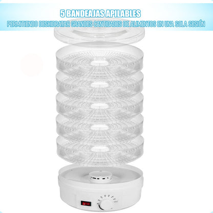 Deshidratadora De Alimentos Y Frutas Electricos Deshidratado