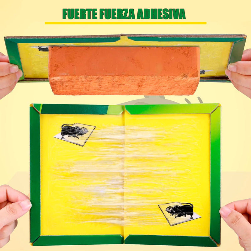 Trampa Para Ratas Pegamento Para Ratones Trampa De Insectos