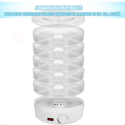 Deshidratadora De Alimentos Deshidratadora Frutas Electrico Maquina Deshidratadora De Alimentos Deshidratador De Alimentos Frutas Deshidratadora De 350w Deshidratadoras Electricas