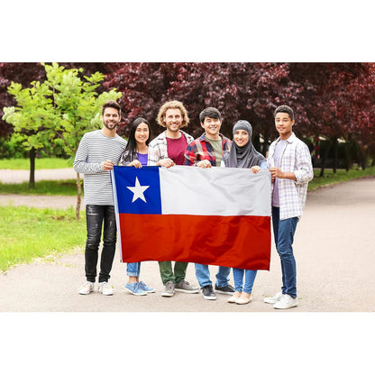 Bandera Chilena 90 X 135 Cm Bandera De Chile Fechas Patrias Bandera Chile
