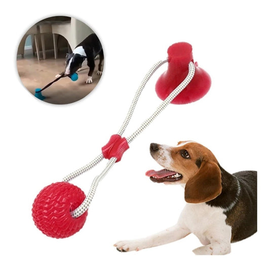 Pelota Perro Con Ventosa Juguete Para Perro Goma Resistente