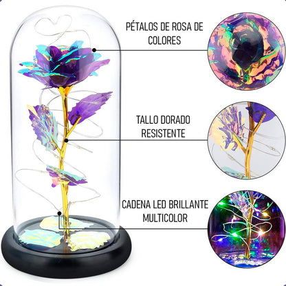 Rosas Eternas Encapsulada Rosa San Valentin Led Vidrio Cupul