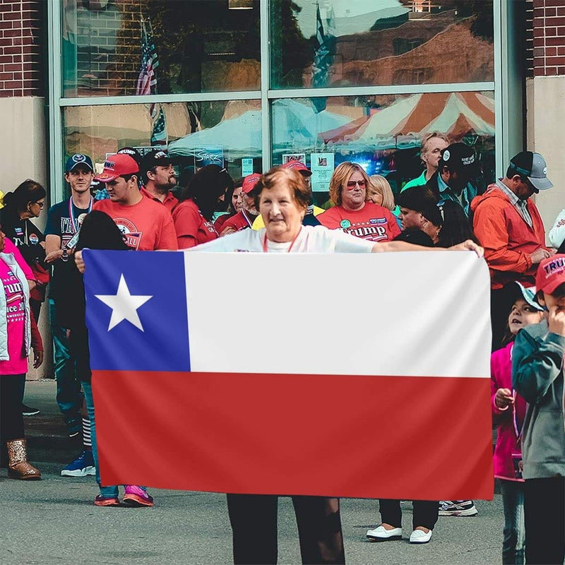 Bandera Chilena De Estrella Bordada 90x135cm Banderas Chile