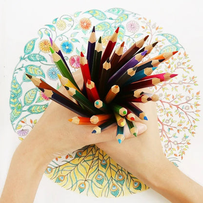 Set 24 Lapices De Colores Lapices De Dibujo Lápiz De Madera