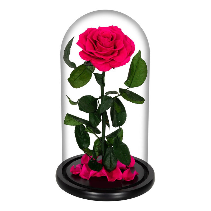 Cúpula Vidrio Rosa Led Flores Artificiales Rosa Eterna Led