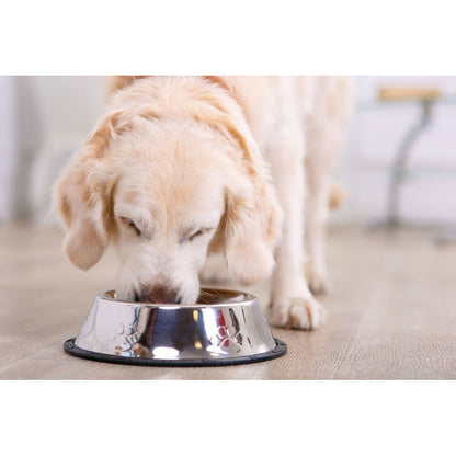 Plato Perro Plato Mascota Plato Para Perros Platos Perro Ac