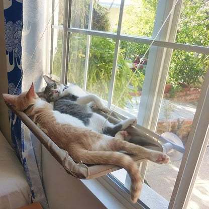 Hamaca Para Gatos Camas Para Gatos Colgante Ventana Gatos